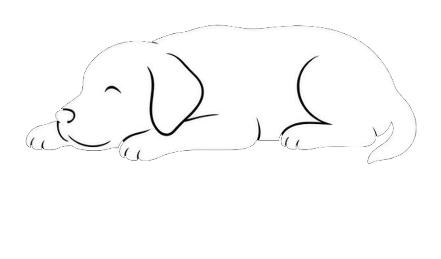 Nina-labs